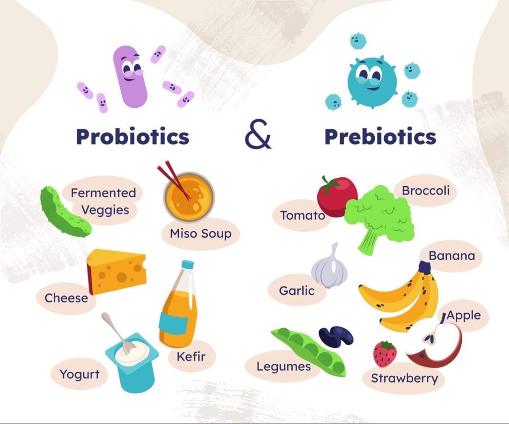 Probiotic foods such as fermented vegetables, miso soup, cheese, yogurt and kefir, compared with prebiotic foods such as tomato, broccoli, garlic, banana, legumes, strawberry and apple
