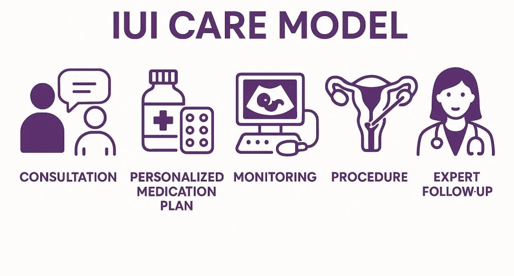 IUI care model: consultation, personalised medication plan, monitoring, the procedure and expert follow-up